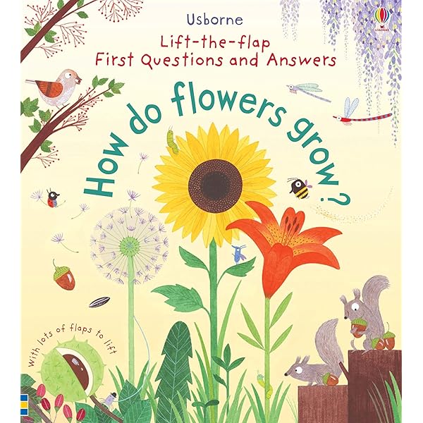 Usborne First Questions and Answer 4冊セット Usborne Lift-the-flap Series My Very First Questions and